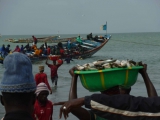 Der Fischmarkt in Tanji