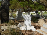 Auf dem Friedhof von Banjul...